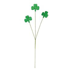 SHAMROCK SPRAY X3 18.5" GREEN 6/PK