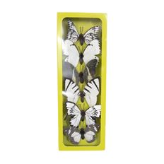 BUTTERFLY 3" BX/6 WHITE