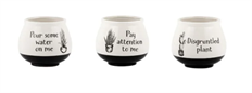 POTTERY PUNNY 3" 3 ASST