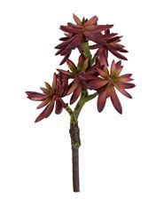 SUCCULENT PICK X6 9" PURPLE