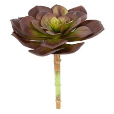 SUCCULENT PICK 7"D 8"H BURGUNDY