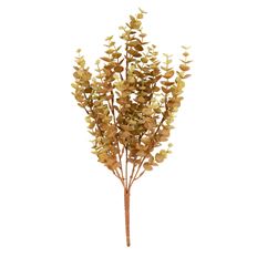 EUCALYPTUS BUSH X5 17" GRN/BRN