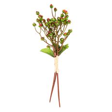 HYPERICUM X5 13" BU/5 BURG/RD