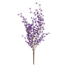 PLUM CROSS BUSH 22" PURPLE