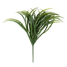 GRASS BUSH VARIGATED 14" GREEN