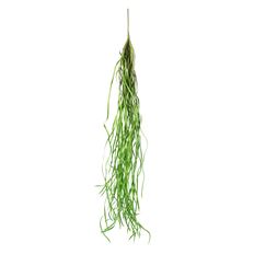 SEA GRASS SPRAY 50" GREEN