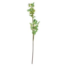 MEADOW RUE STEM 30" LIGHT BLUE
