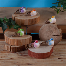 MUSHROOM BIRD 2.25" 12/BOX MIXED