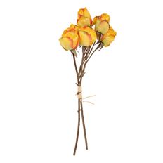 ROSE DRY 17.5" BU/6 ORG/YEL