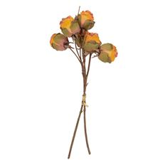 ROSE DRY 17.5" BU/6 LAV/YELLOW