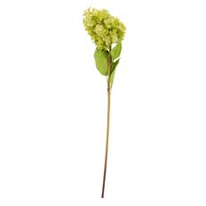 PEEGEE HYDRANGEA 23" GREEN