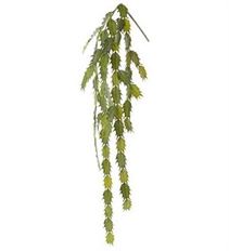 CACTUS HANGING SPRAY 36.5&quot; GREEN