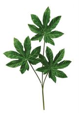 BRANCH FATSIA X3 30&quot; GREEN