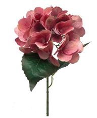 HYDRANGEA NT 18" ROSE