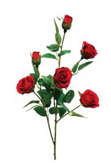 ROSE GARDEN SPRAY X5 RED