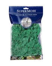 MOSS REINDEER 8 OZ MINT