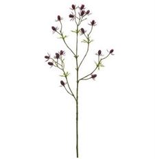 ERYNGIUM SPRAY 24" PURPLE