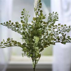 MAIDEN HAIR FERN BUSH 14" GREEN