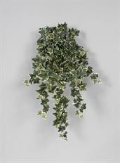 IVY BUSH 39" BEDFORD VARIGATED