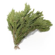 25# INCENSE CEDAR BOUGHS