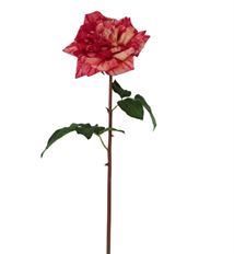 ROSE CANDY STRIPE 20.5" PEACH