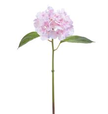 HYDRANGEA NT 18.5" LAVENDER/PINK