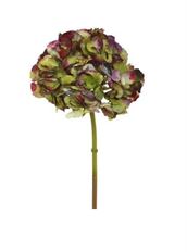 HYDRANGEA 19" DRIED BURG