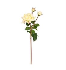 ROSE SWEET JULIET 22"LIGHT YELLOW