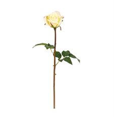 ROSE DUTCHESS BUD 20.5" LIT YELLOW