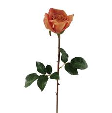 ROSE DUTCHESS BUD 20.5" DUSTY CORAL