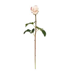 ROSE DUTCHESS BUD 20" LIGHT PINK