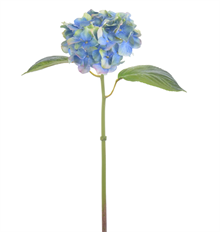 HYDRANGEA NT 18.5" BLUE/GREEN