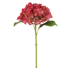 HYDRANGEA  21" MAUVE