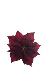 POINSETTIA W/CLIP 16CM BURG