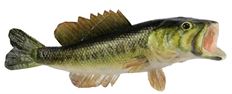 FISH BASS 8.25" LARGEMOUTH NATURAL