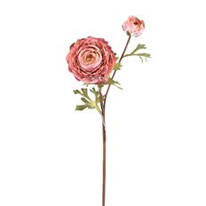 RANUNCULUS SPRAY X2 22" MAUVE