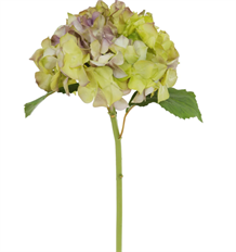 HYDRANGEA NT 21" LAVENDER/GREEN