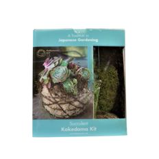 KOKEDAMA KIT SUCCULENT