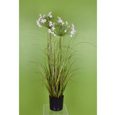 GRASS POTTED 32" LEEK GREEN