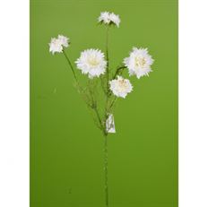 CORNFLOWER SPRAY 22" WHITE