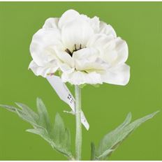 POPPY 17" CREAM