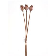 POPPY POD X3 19" BUNDLE NATURAL