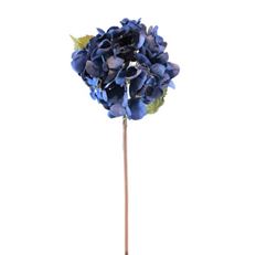 HYDRANGEA DRIED 22" DARK BLUE