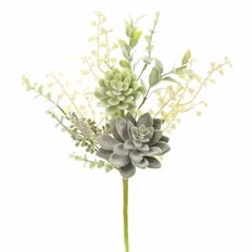 SUCCULENT SPRAY