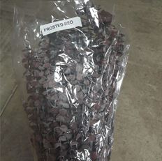 EUCALYPTUS BABY PRES FROST RED 16OZ