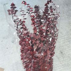 EUCALYPTUS BABY PRES RED 16OZ