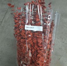 EUCALYPTUS BABY PRES ORANGE 16 OZ