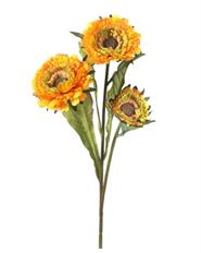 ASTER SPRAY X 3 17" ORYE