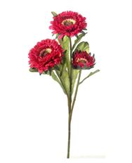 ASTER SPRAY X 3 17" MAGENTA