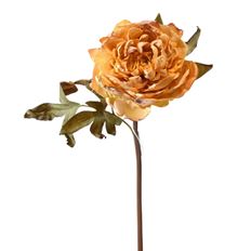 PEONY STEM 22" YELLOW